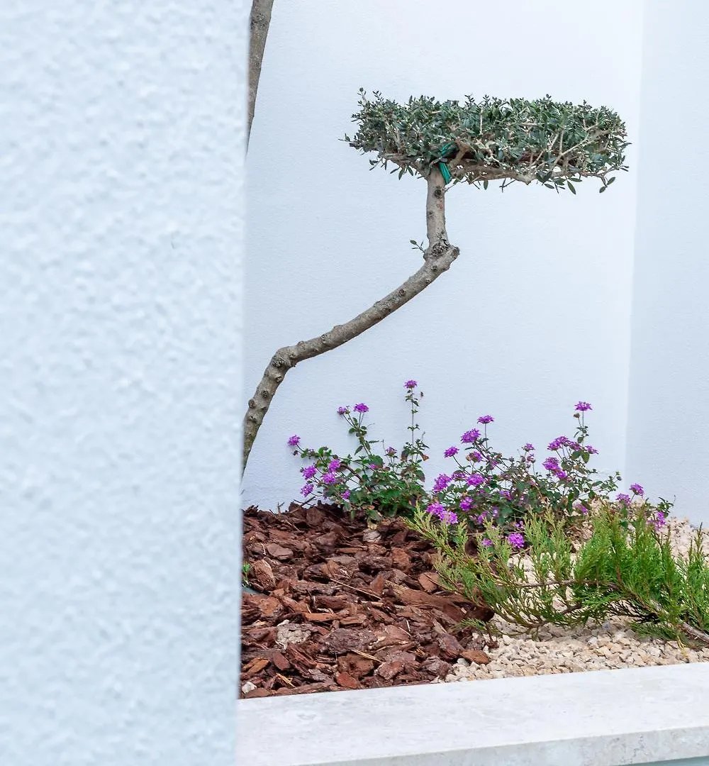 Apartment Colombo Palace - Viale Colombo 358 Quartu Sant'Elena Italy